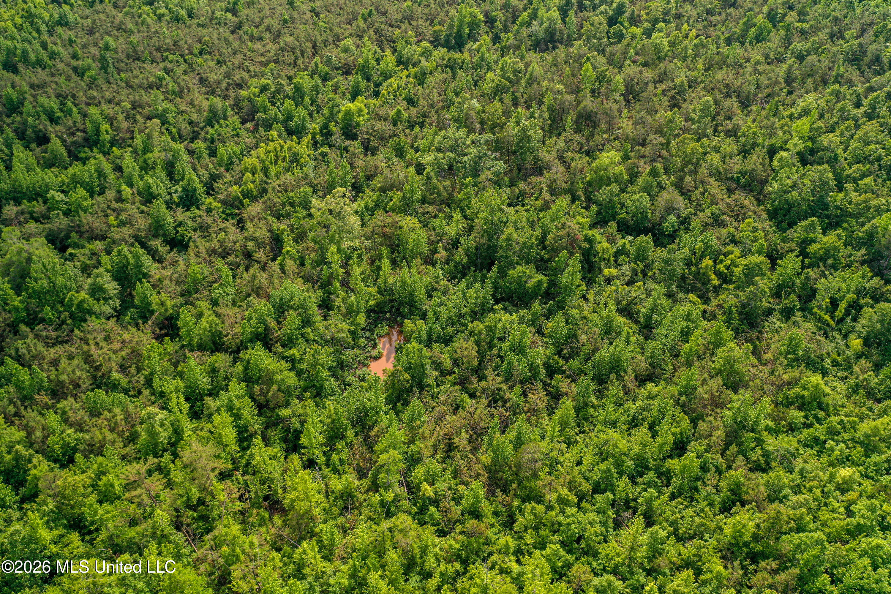816 County Road Blue Mountain, MS 38610 - Photo 16 of 21 DJI_0749