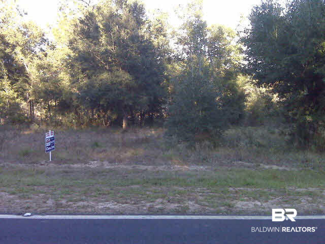 9488 Neumann Drive Elberta, AL 36530 - Photo 2 of 3 View from Road