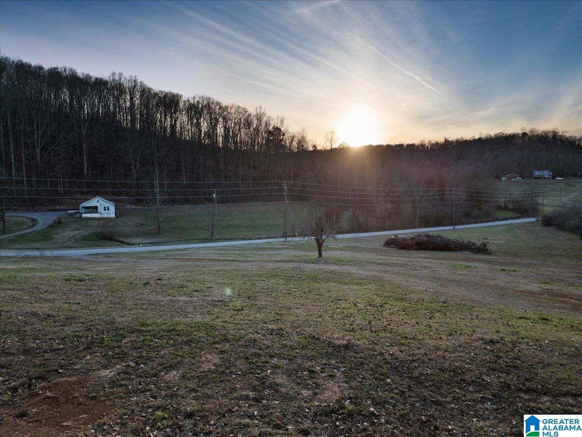 0 Rocky Hollow Road, Unit 10 Guntersville, AL 35976 - Photo 4 of 11