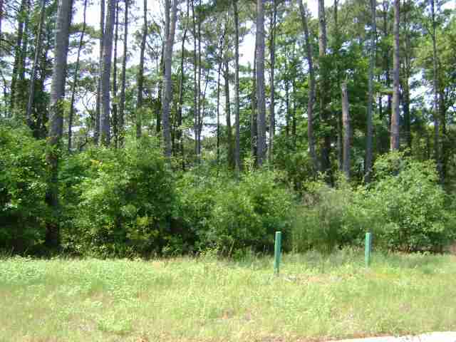 42 Dunning Road Pawleys Island, SC 29585 - Photo 1 of 3 Gallery Image 1