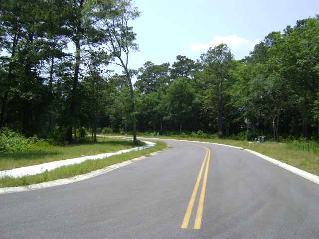 42 Dunning Road Pawleys Island, SC 29585 - Photo 3 of 3 Gallery Image 3