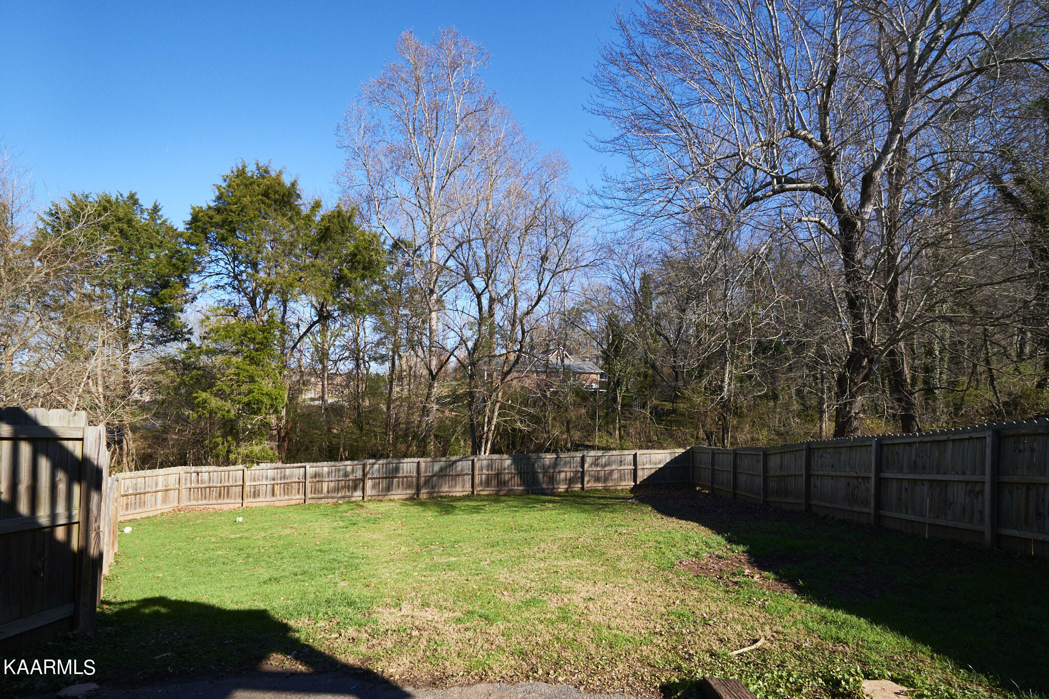 6868 Reddege Road Knoxville, TN 37918 - Photo 30 of 33 Back Yard