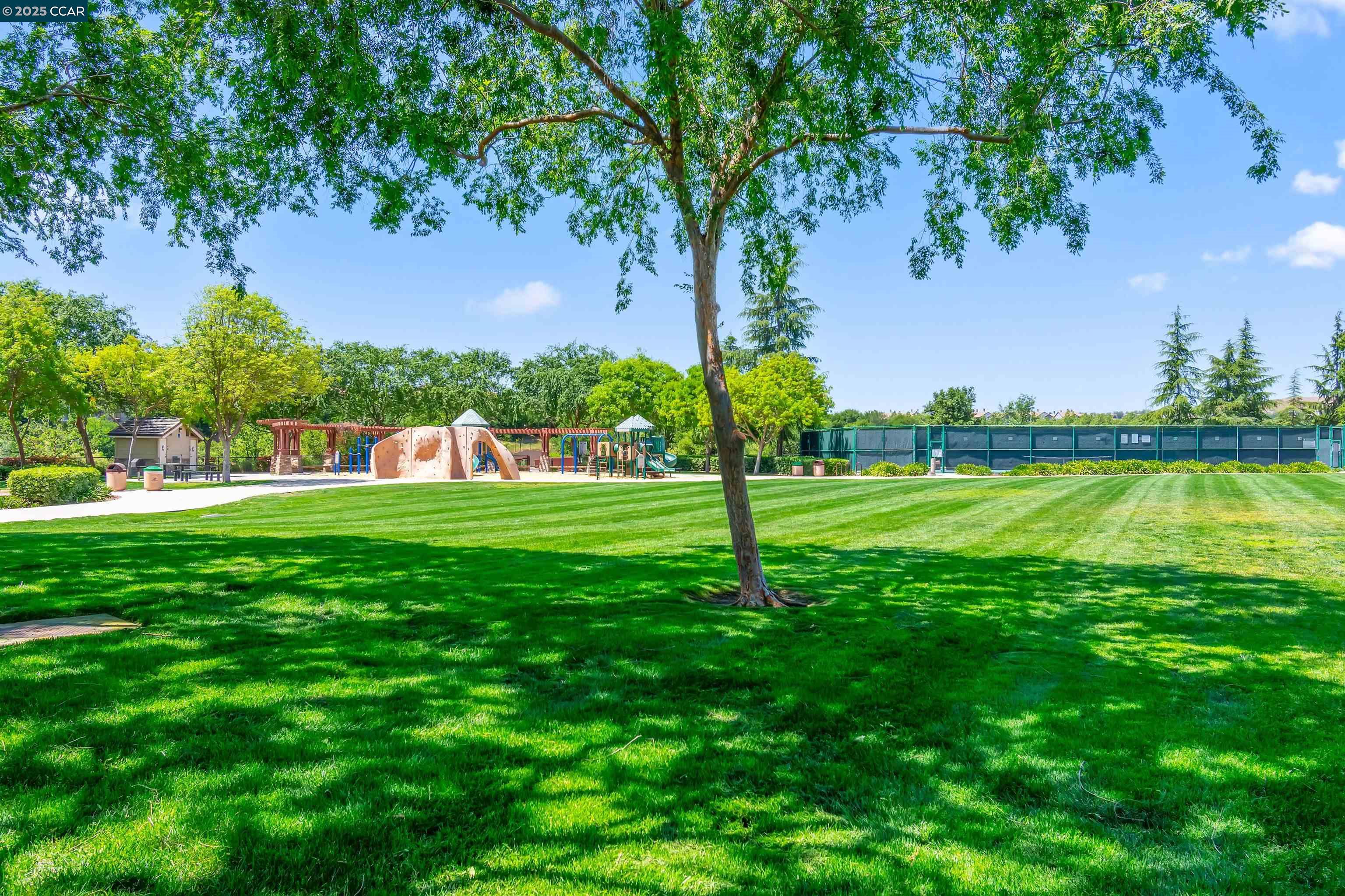 2073 Watermill Road San Ramon, CA 94582 - Photo 37 of 46 a view of a park with large trees