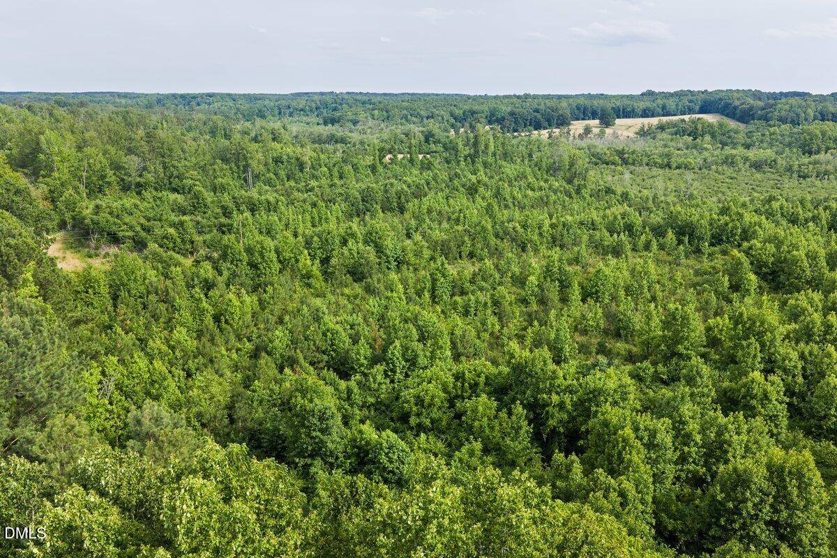 0 Lot 3 Shepard Road Norlina, NC 27563 - Photo 15 of 17