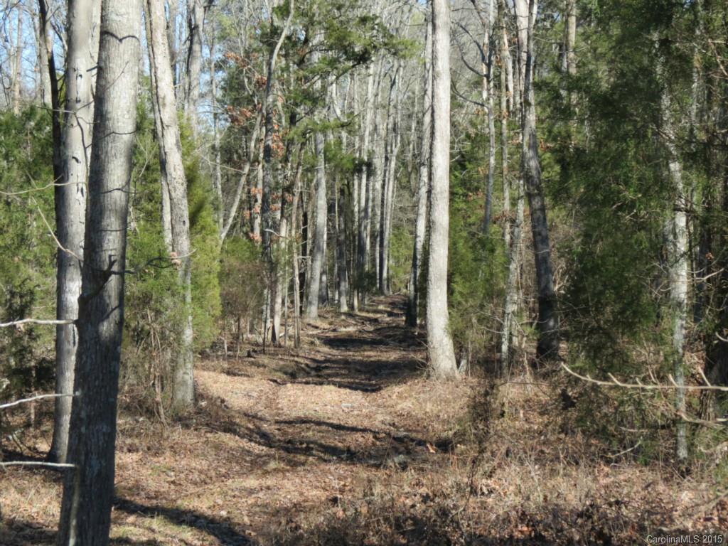 70-ac 70-ac Blaney Road Chester, SC 29706 - Photo 14 of 18