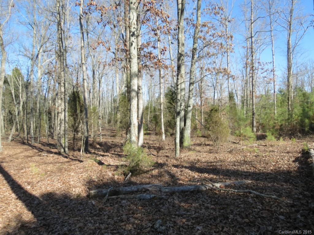 70-ac 70-ac Blaney Road Chester, SC 29706 - Photo 3 of 18
