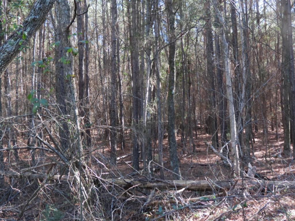 70-ac 70-ac Blaney Road Chester, SC 29706 - Photo 8 of 18