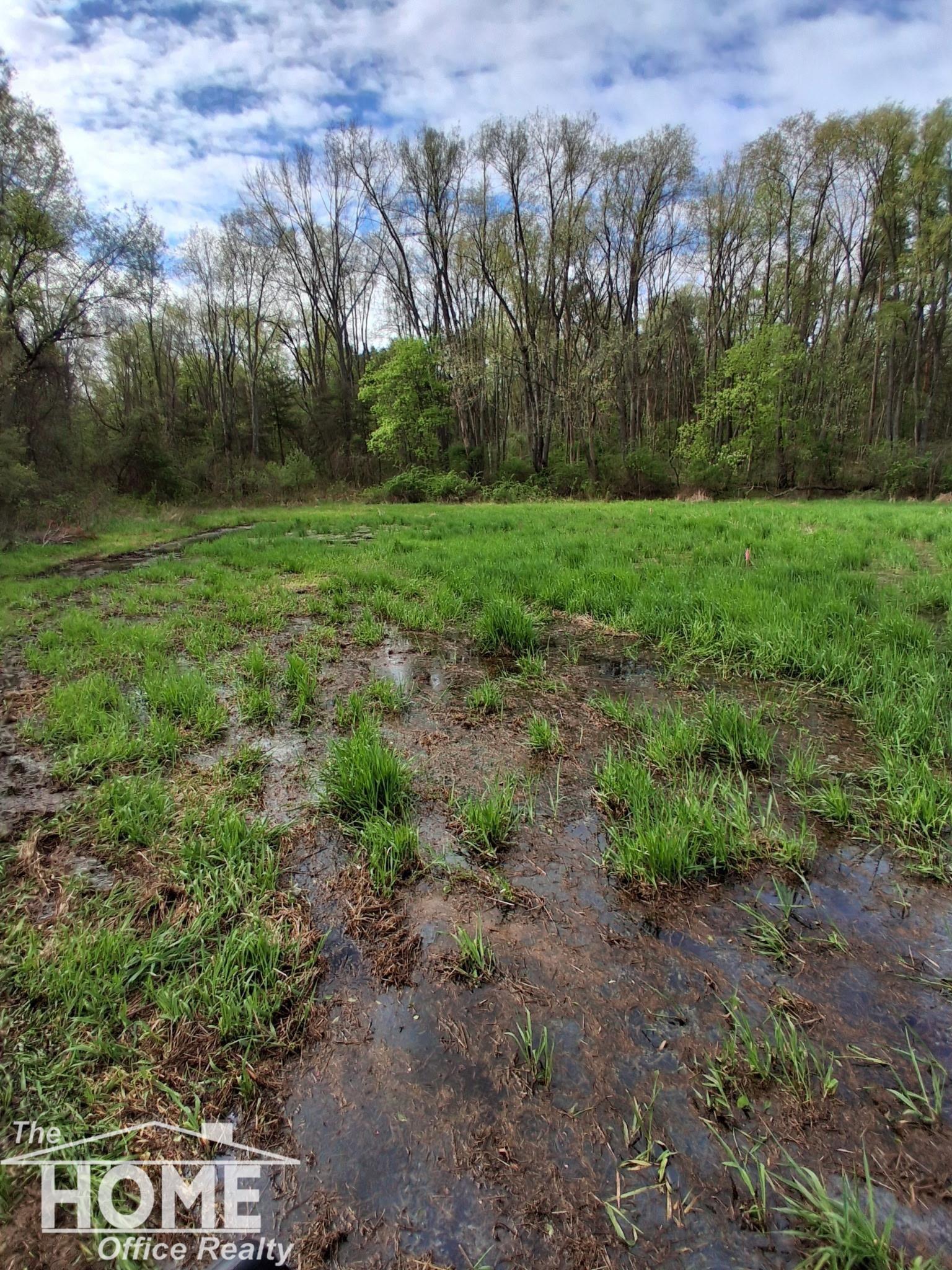 7405 West Lansing Road Shaftsburg, MI 48872 - Photo 35 of 37
