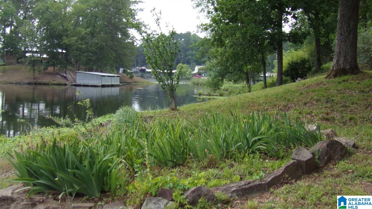 311 Shores Camp Road Adger, AL 35006 - Photo 34 of 41