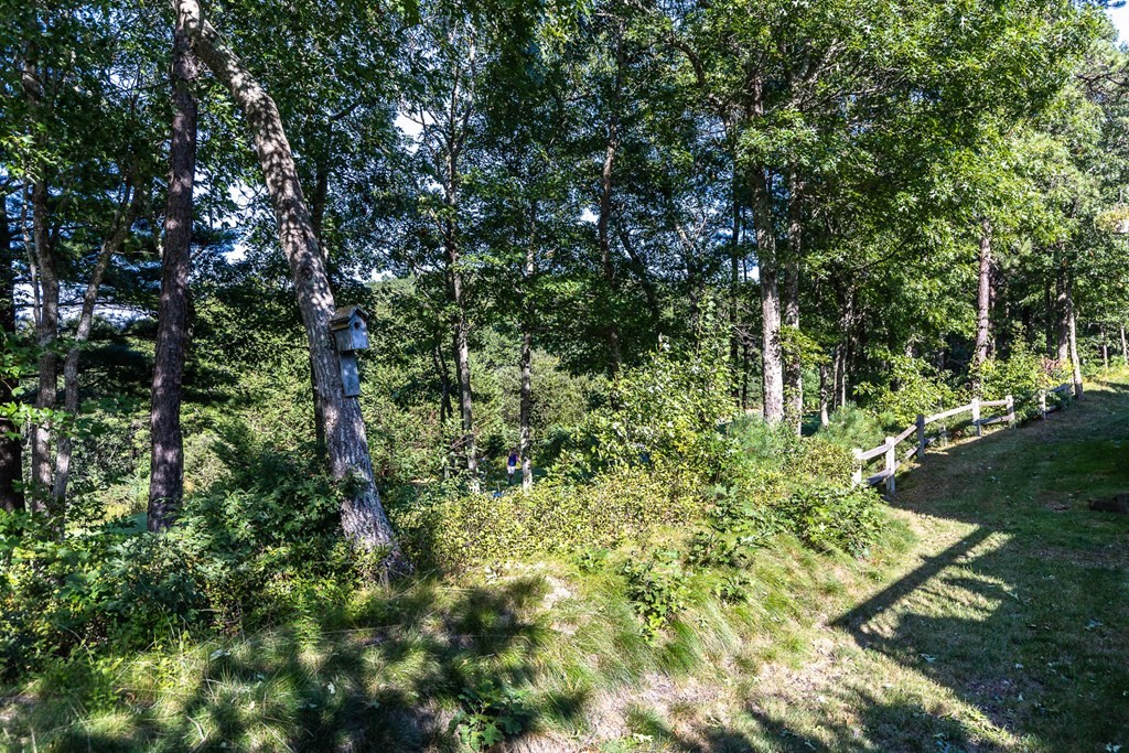 25 Rigsdale Way, Unit 25 Plymouth, MA 02360 - Photo 34 of 38 a view of yard with green space