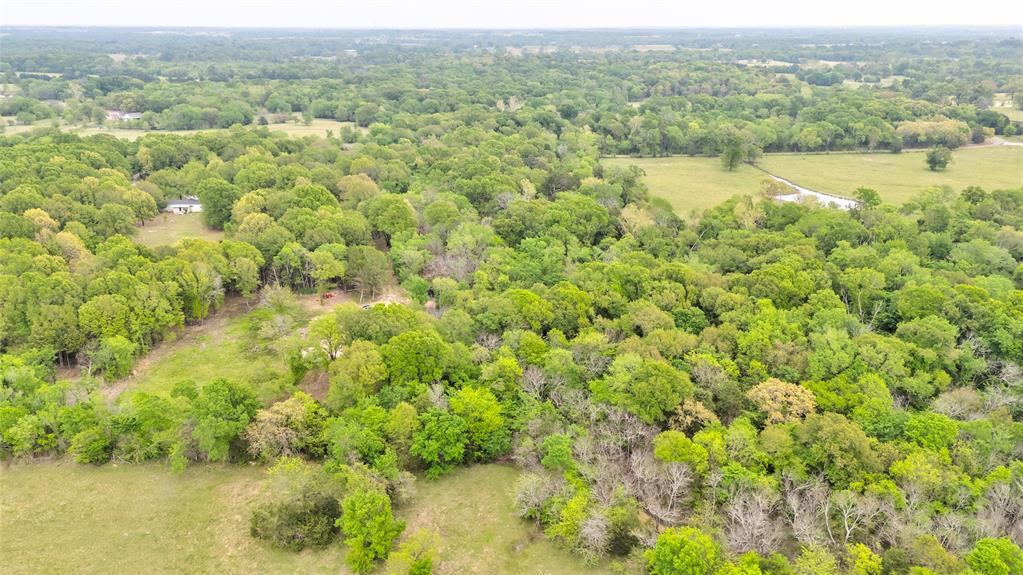 1411 Vz County Road 2139 Wills Point, TX 75169 - Photo 6 of 38
