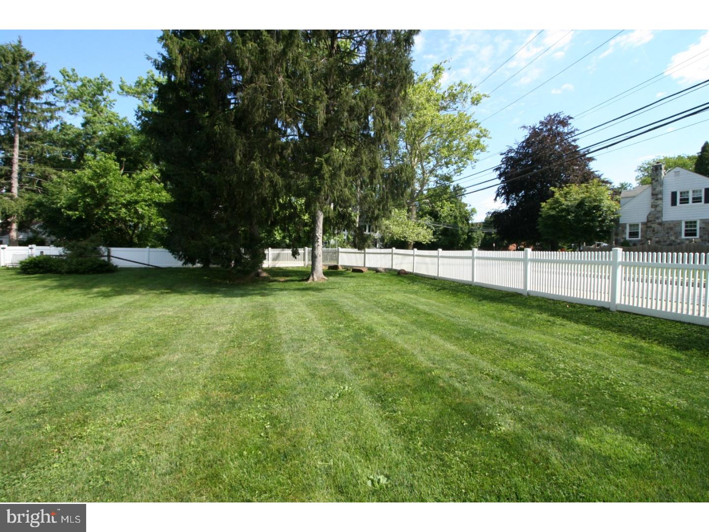 1000 Conestoga Road Berwyn, PA 19312 - Photo 20 of 24 Side Yard