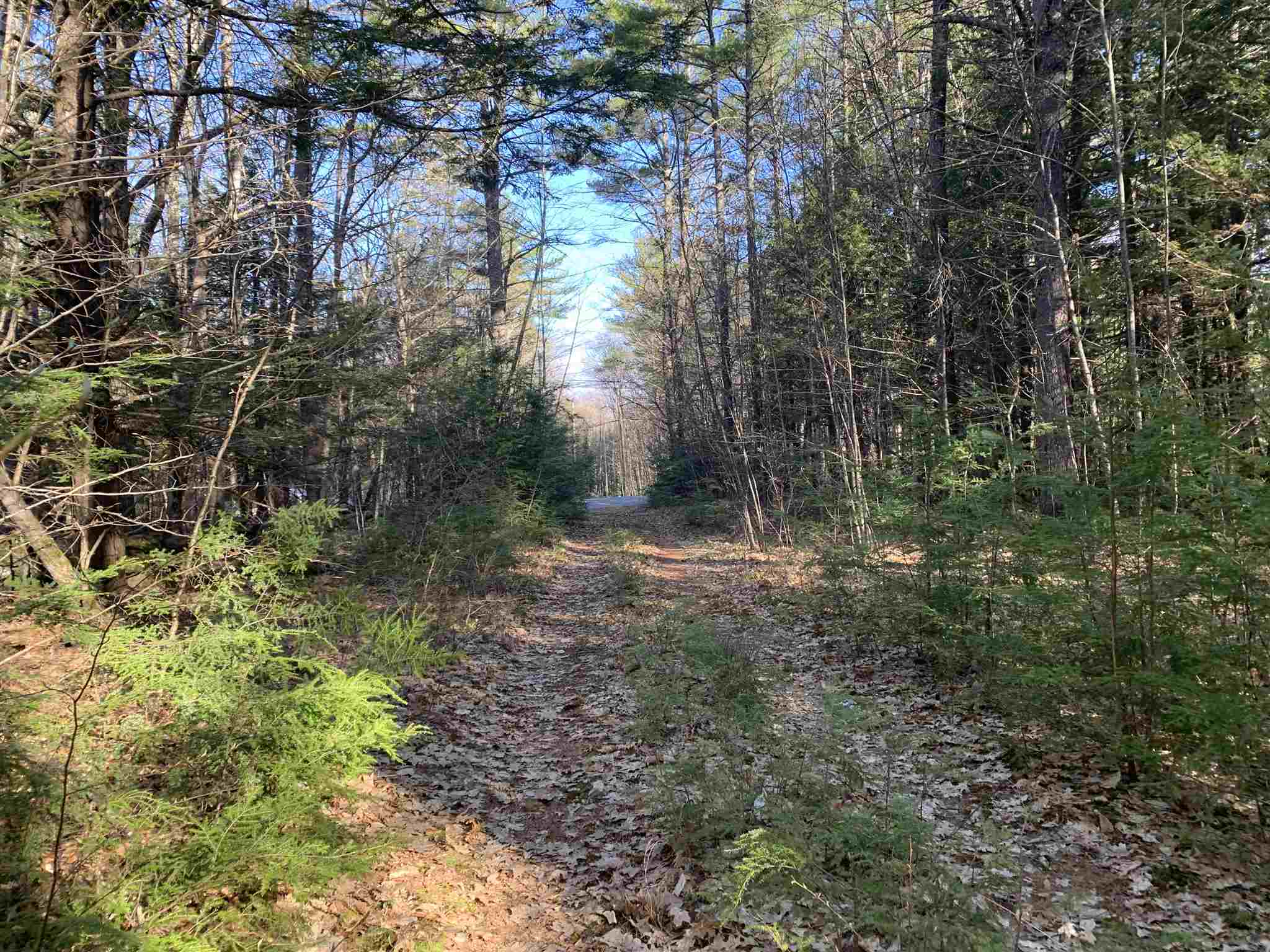 Lot 14 Mountain Road Gilmanton, NH 03837 - Photo 12 of 20