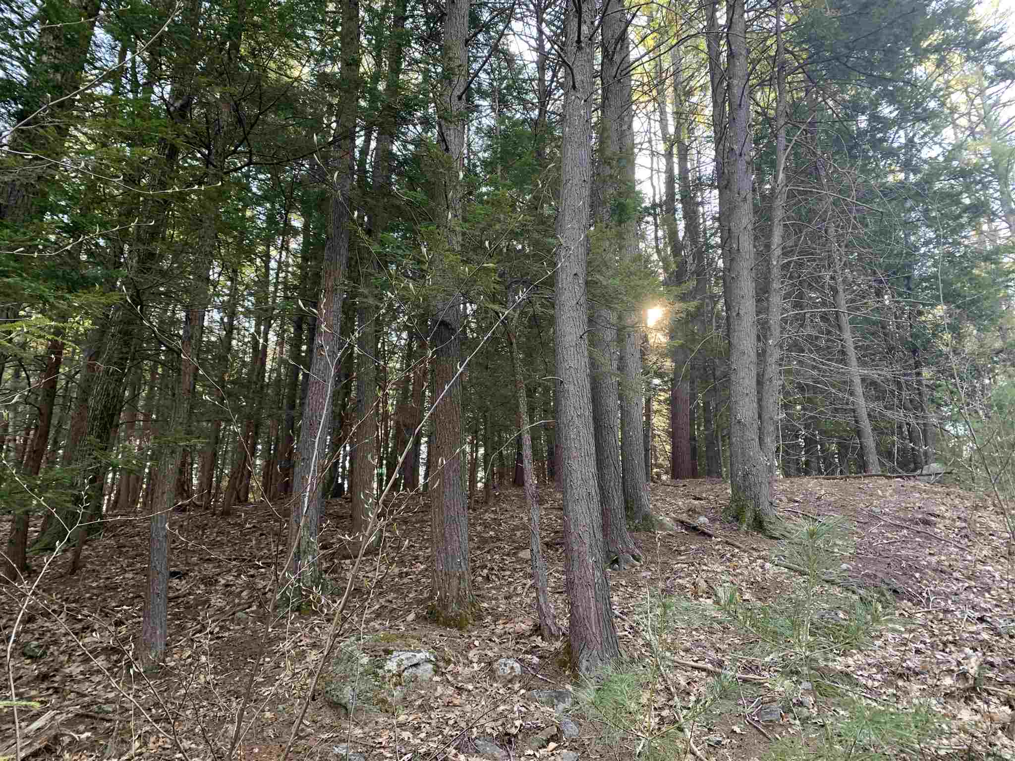Lot 14 Mountain Road Gilmanton, NH 03837 - Photo 13 of 20