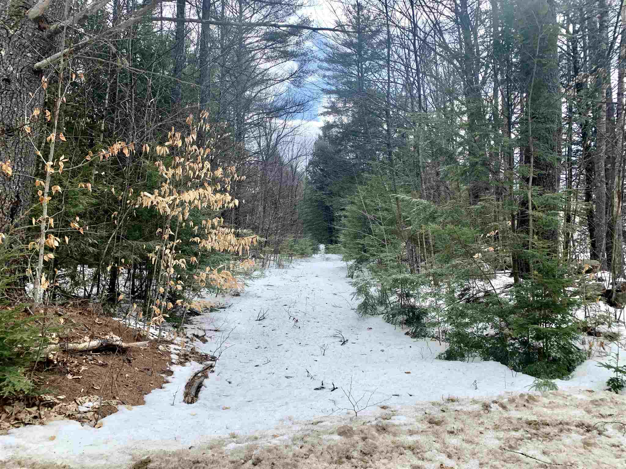 Lot 14 Mountain Road Gilmanton, NH 03837 - Photo 15 of 20