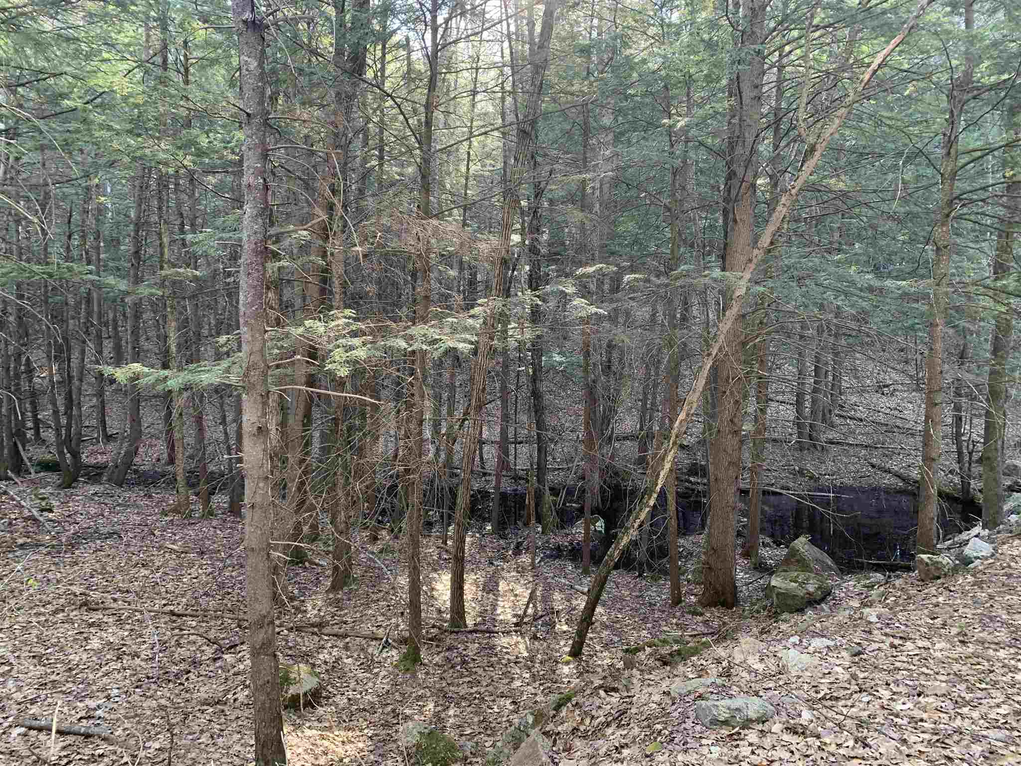 Lot 14 Mountain Road Gilmanton, NH 03837 - Photo 5 of 20