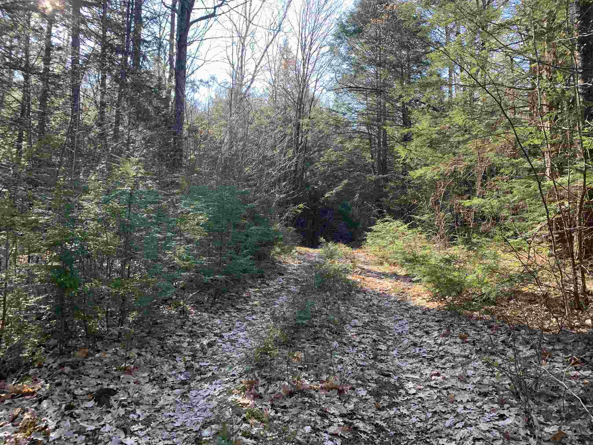Lot 14 Mountain Road Gilmanton, NH 03837 - Photo 6 of 20