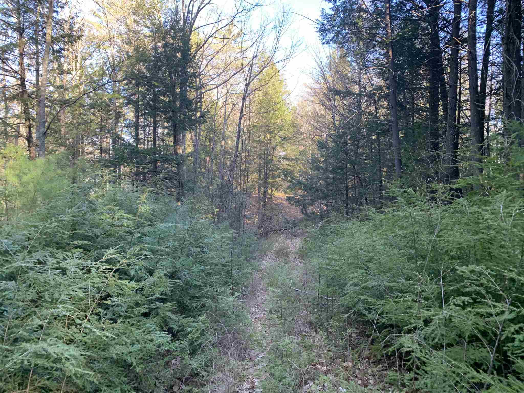 Lot 14 Mountain Road Gilmanton, NH 03837 - Photo 7 of 20