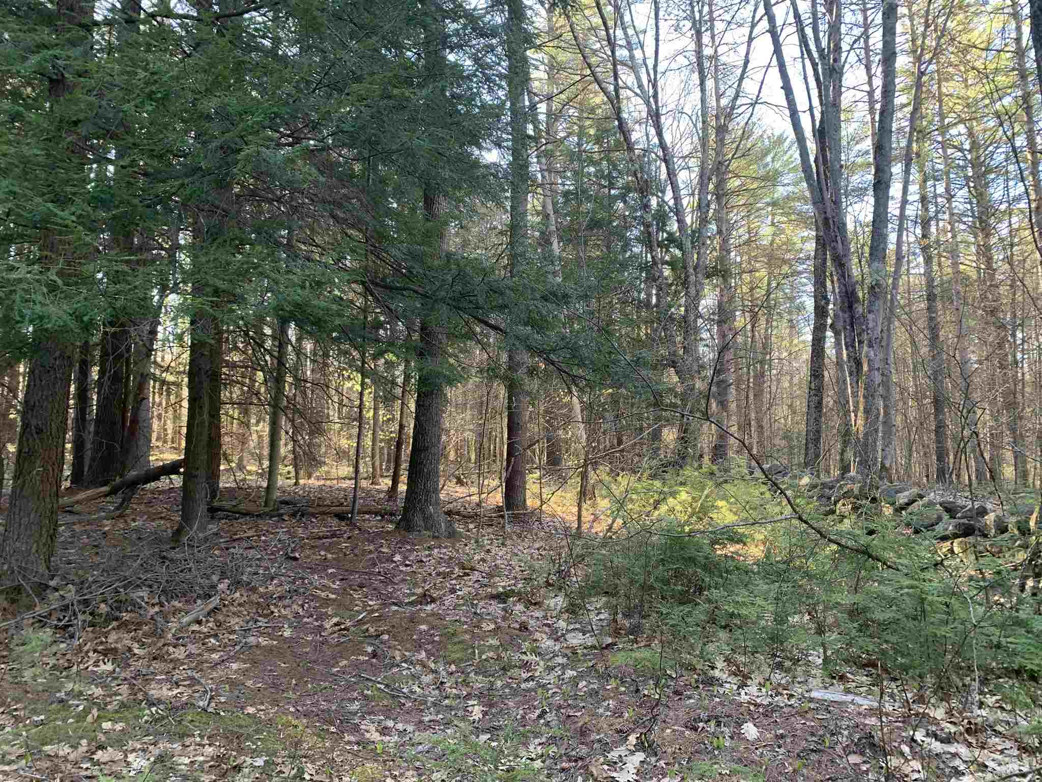 Lot 14 Mountain Road Gilmanton, NH 03837 - Photo 8 of 20