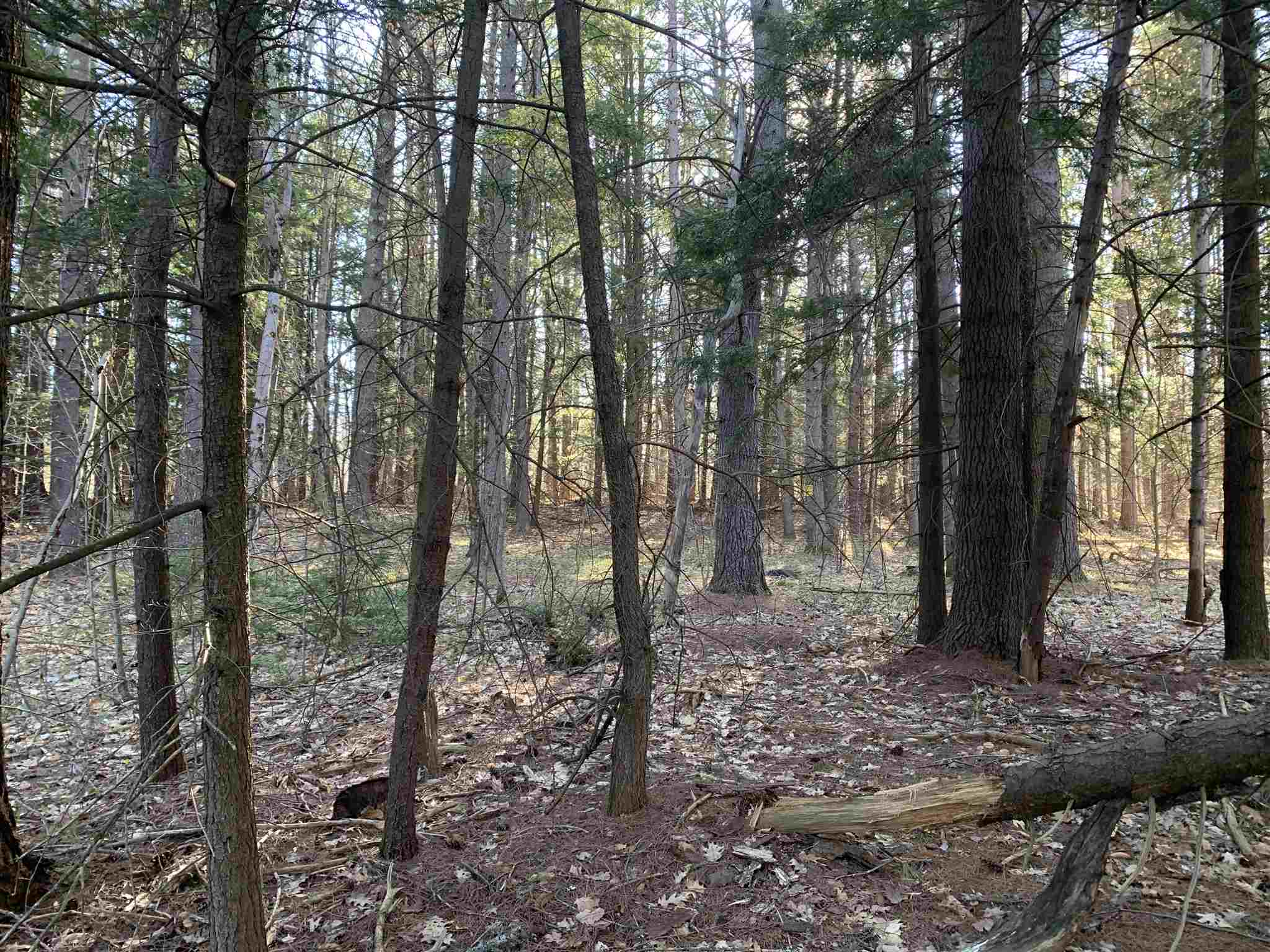 Lot 14 Mountain Road Gilmanton, NH 03837 - Photo 9 of 20