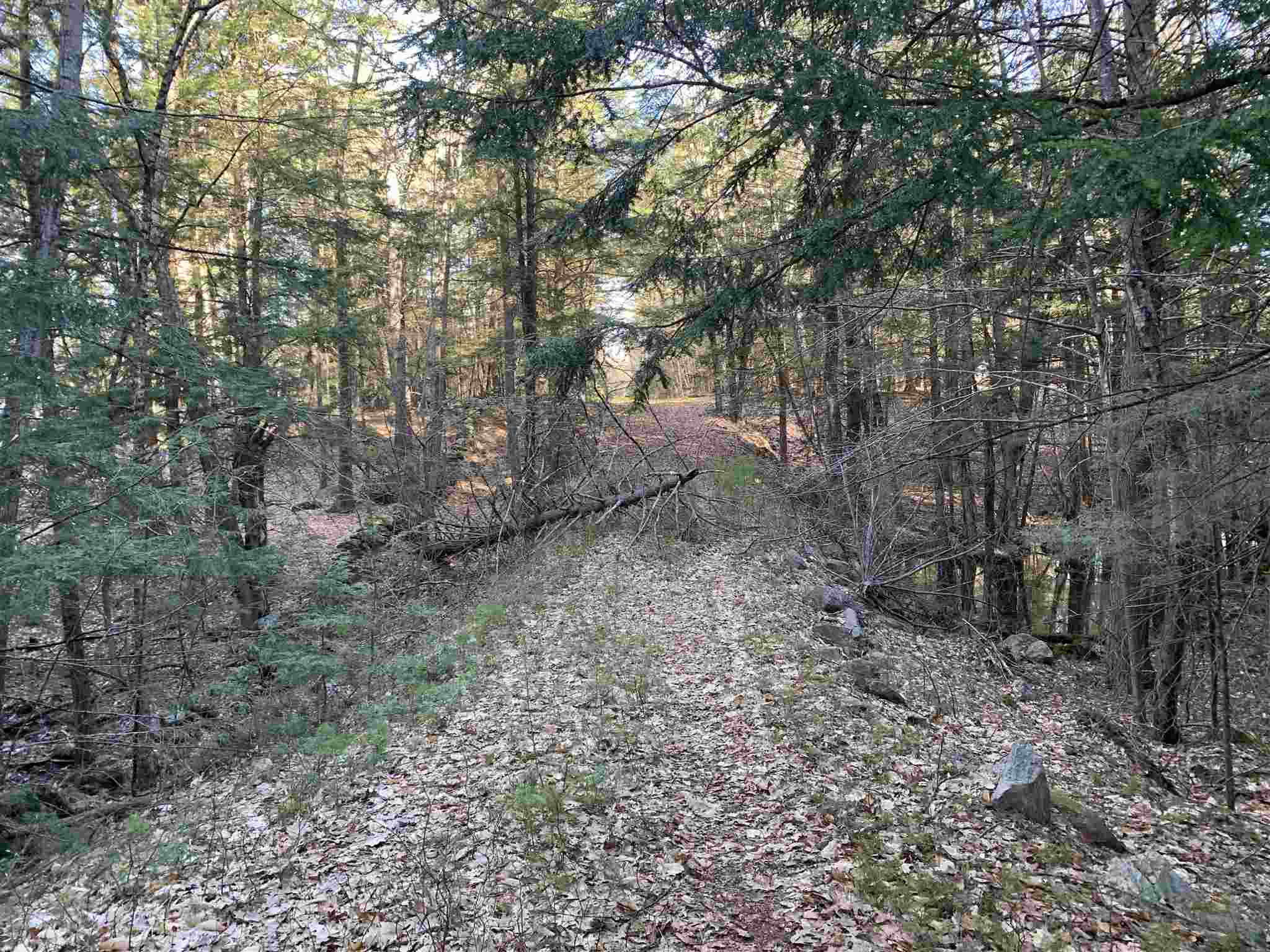 Lot 14 Mountain Road Gilmanton, NH 03837 - Photo 10 of 20