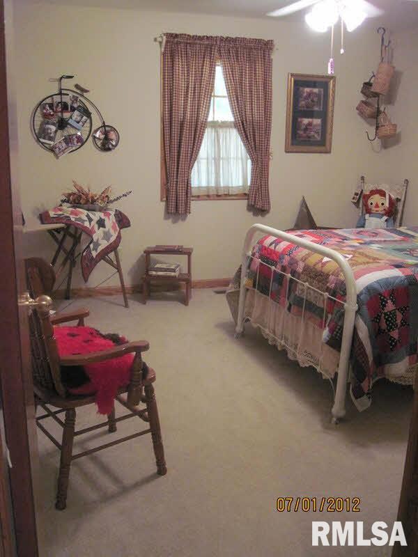 51 Bert Road Golconda, IL 62938 - Photo 11 of 16