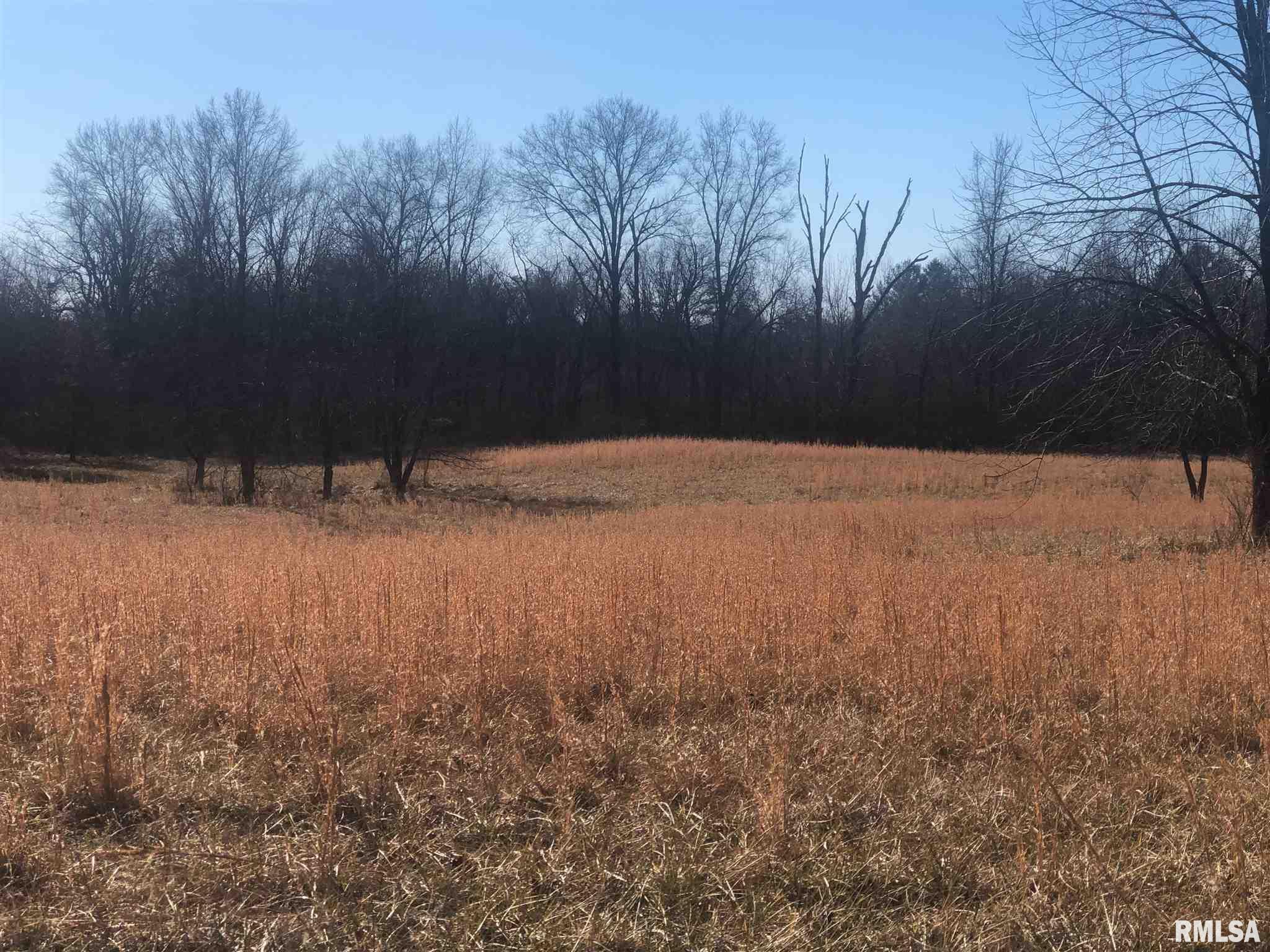 0 East Bishop Road Mount Vernon, IL 62864 - Photo 2 of 5
