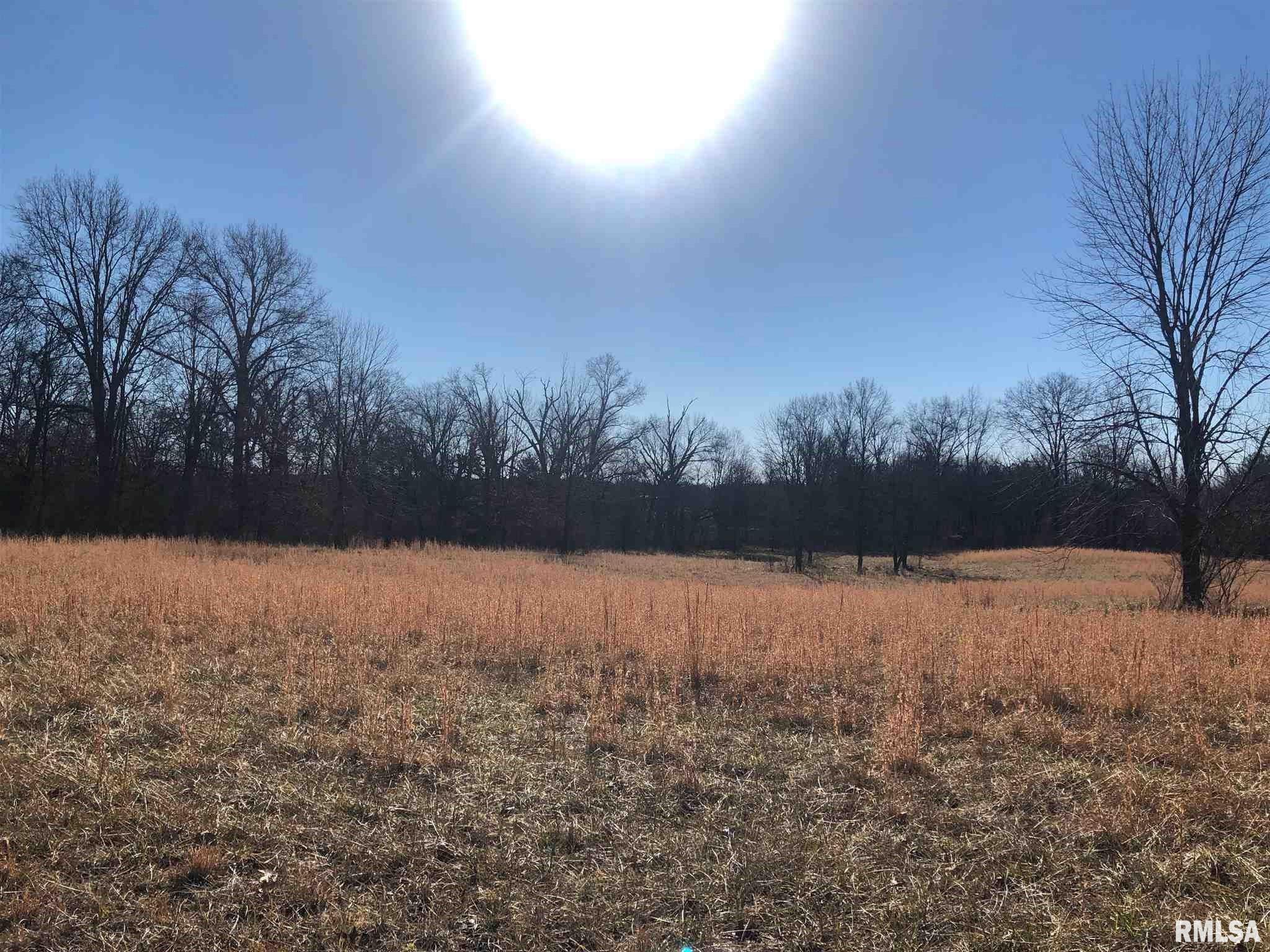 0 East Bishop Road Mount Vernon, IL 62864 - Photo 4 of 5
