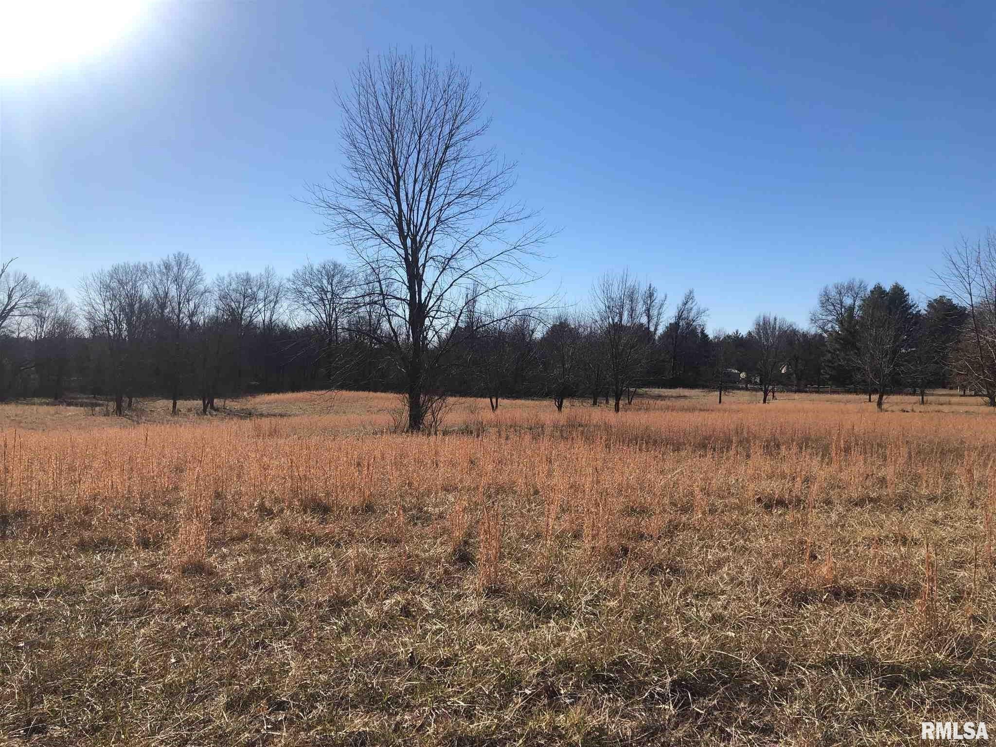 0 East Bishop Road Mount Vernon, IL 62864 - Photo 5 of 5