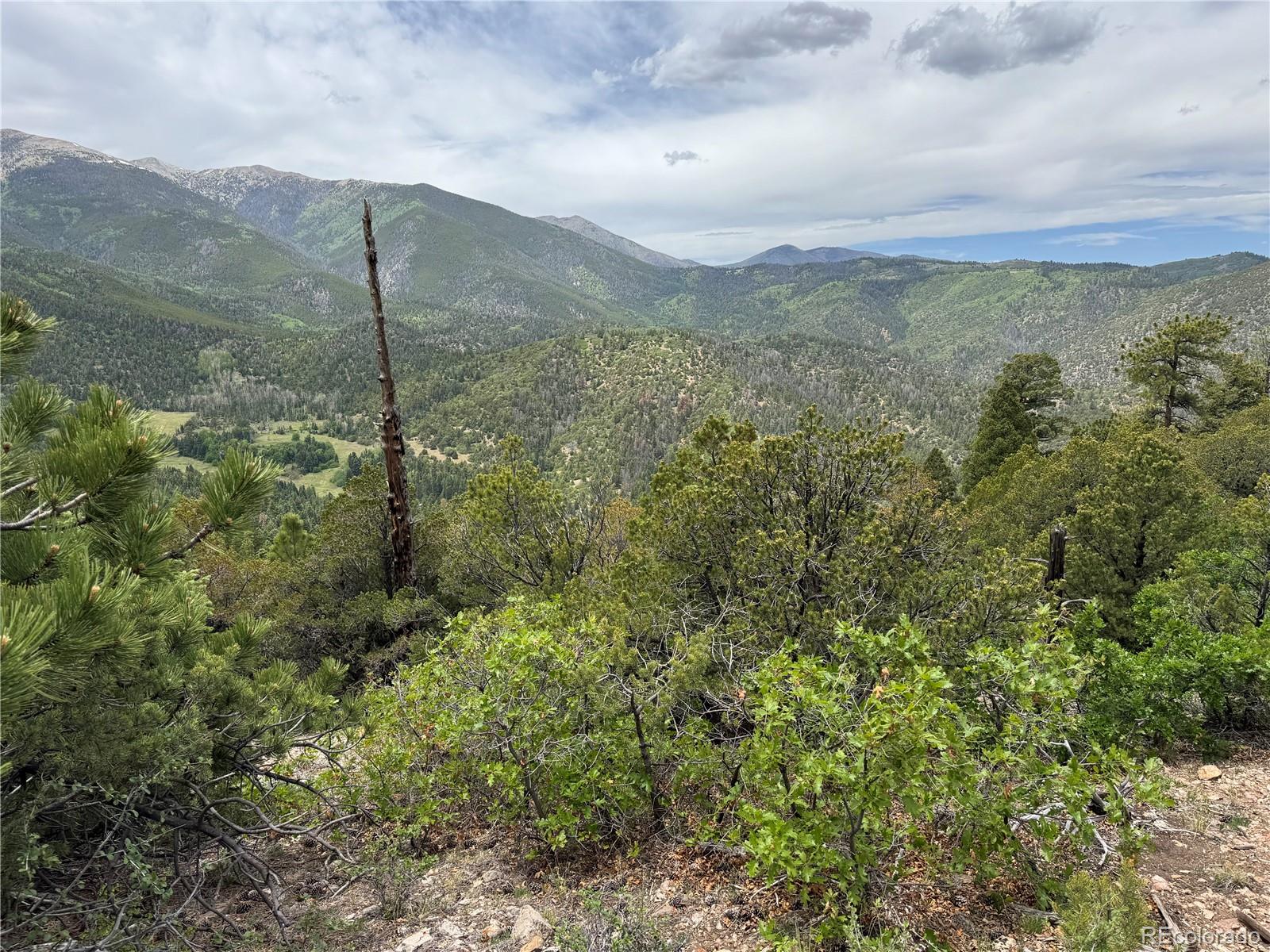 Knotty Pine Road Salida, CO 81201 - Photo 2 of 42 Gallery Image 2