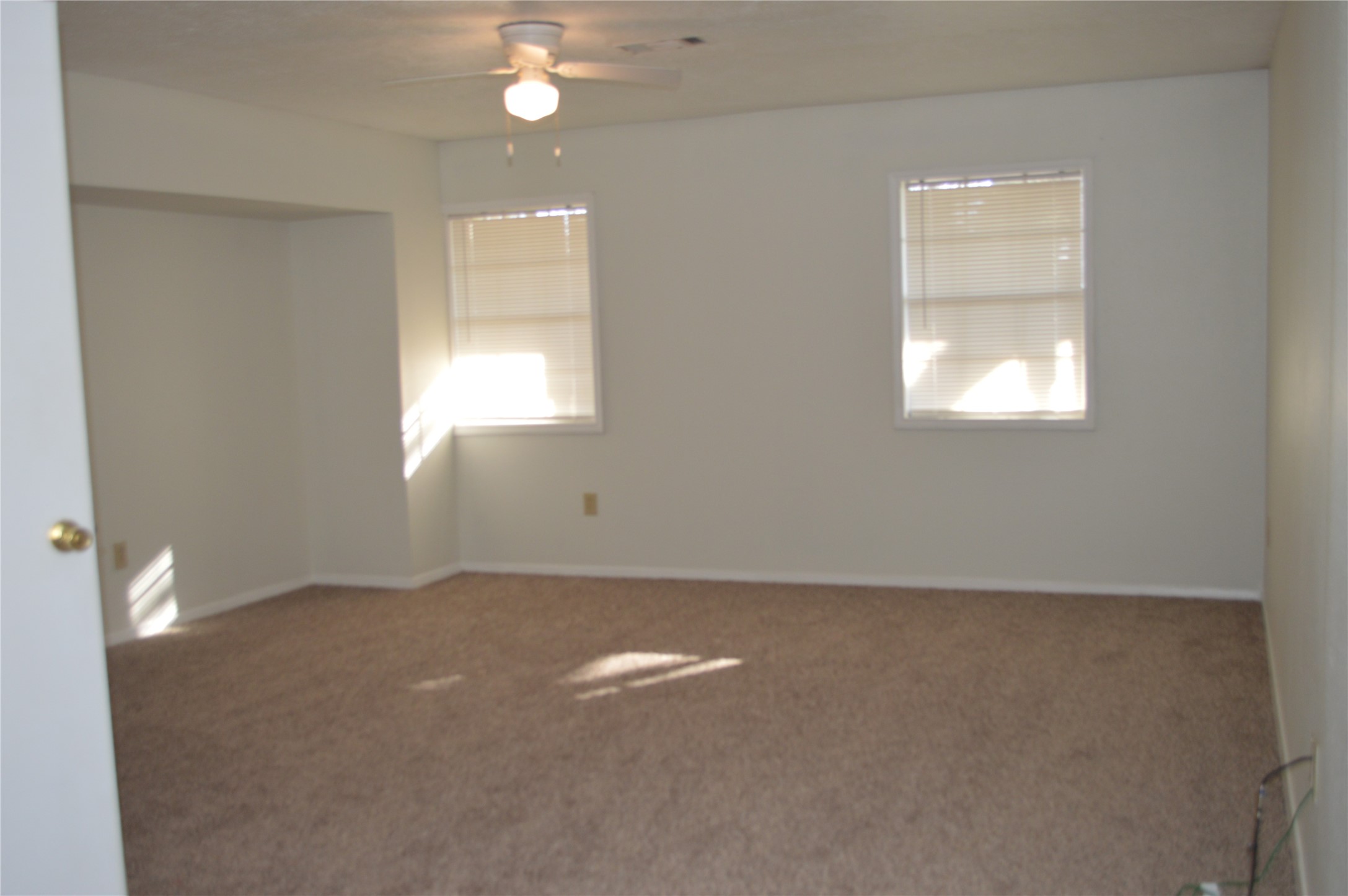 532 Hollyhock Street Prairie View, TX 77484 - Photo 10 of 20 Primary Bedroom