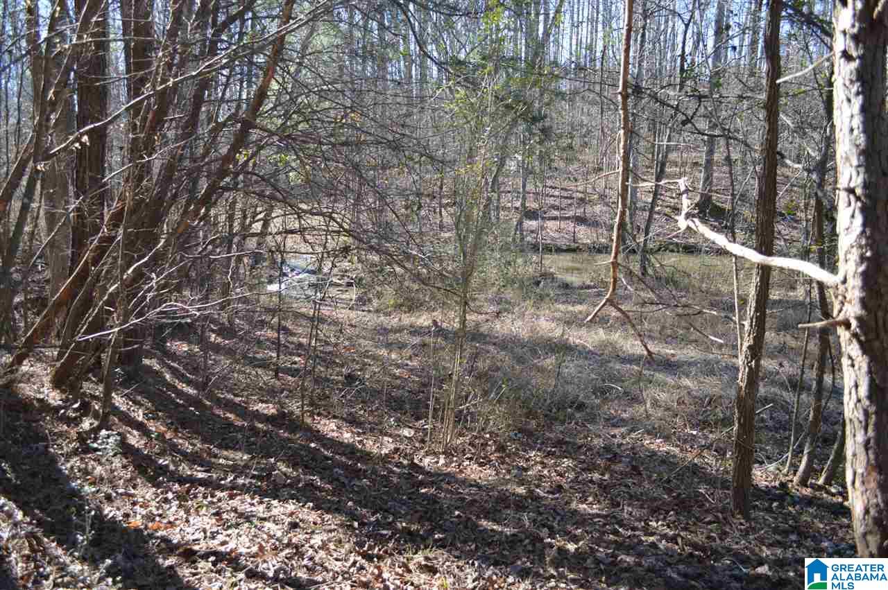 1900 Sanie Road Odenville, AL 35120 - Photo 42 of 48