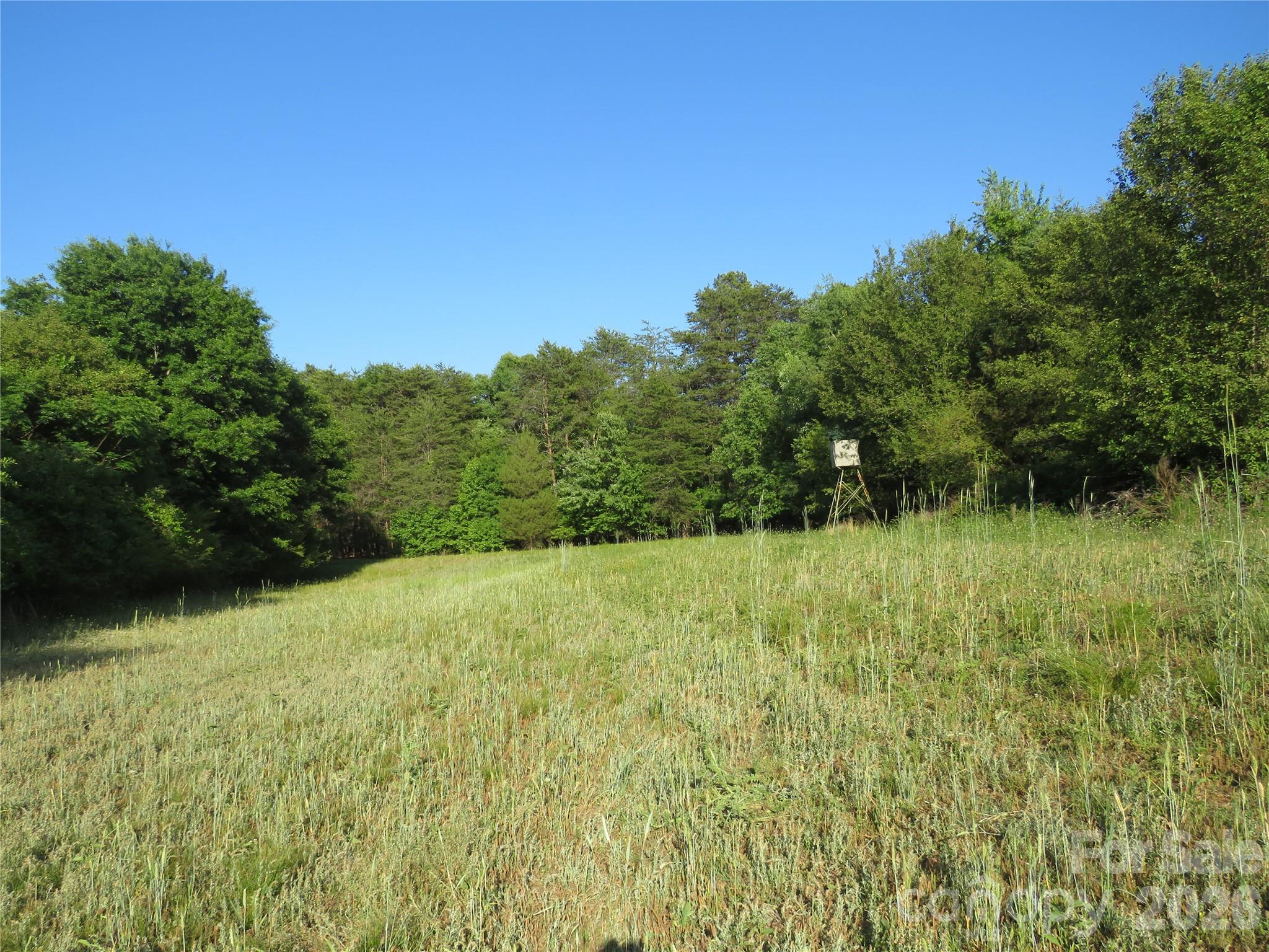 262 Flat Rock Road Forest City, NC 28043 - Photo 5 of 41