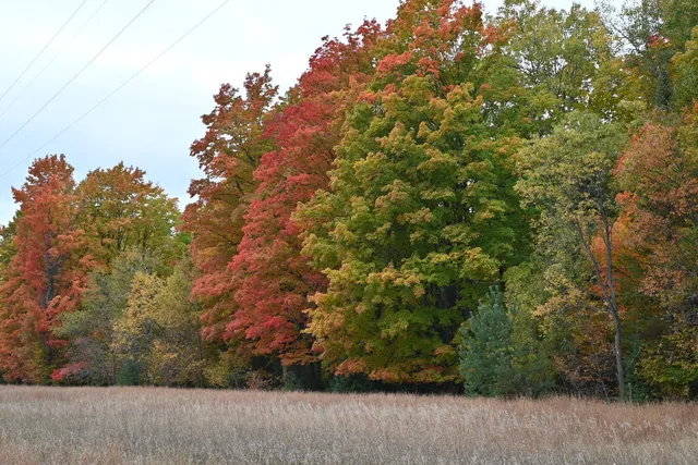 $299,000 | North Cedar Street, Kalkaska, MI 49646