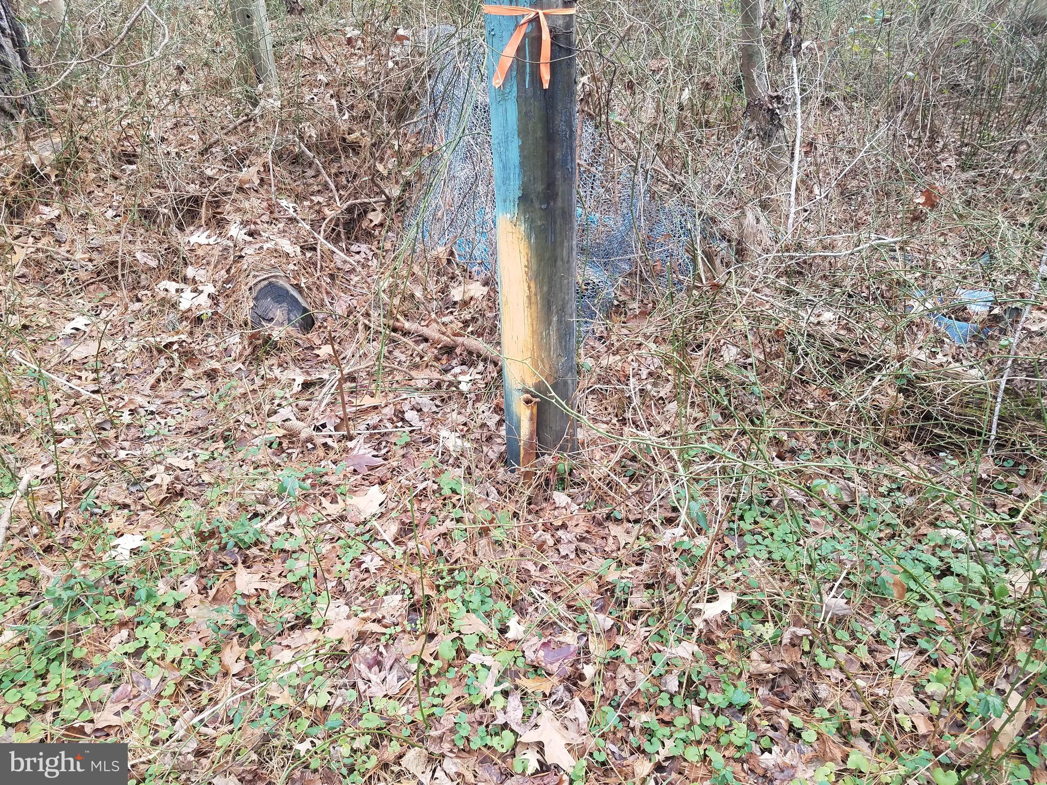 2123 Bypass Road Pocomoke City, MD 21851 - Photo 12 of 30 Corner marker.
