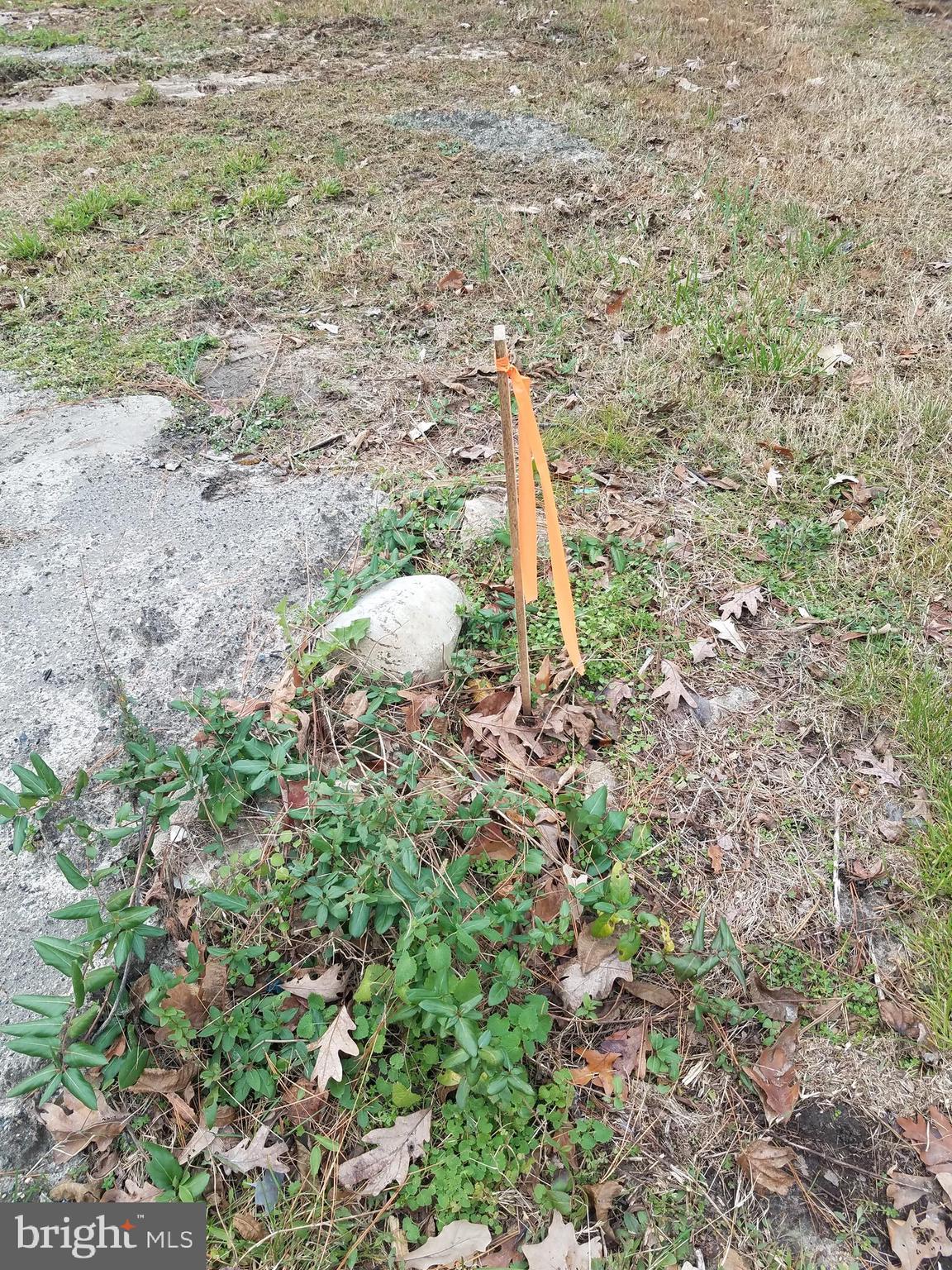 2123 Bypass Road Pocomoke City, MD 21851 - Photo 13 of 30 Corner marker.