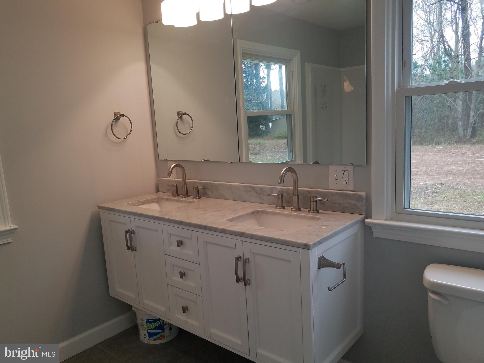 2123 Bypass Road Pocomoke City, MD 21851 - Photo 26 of 30 Double sink in the primary.
