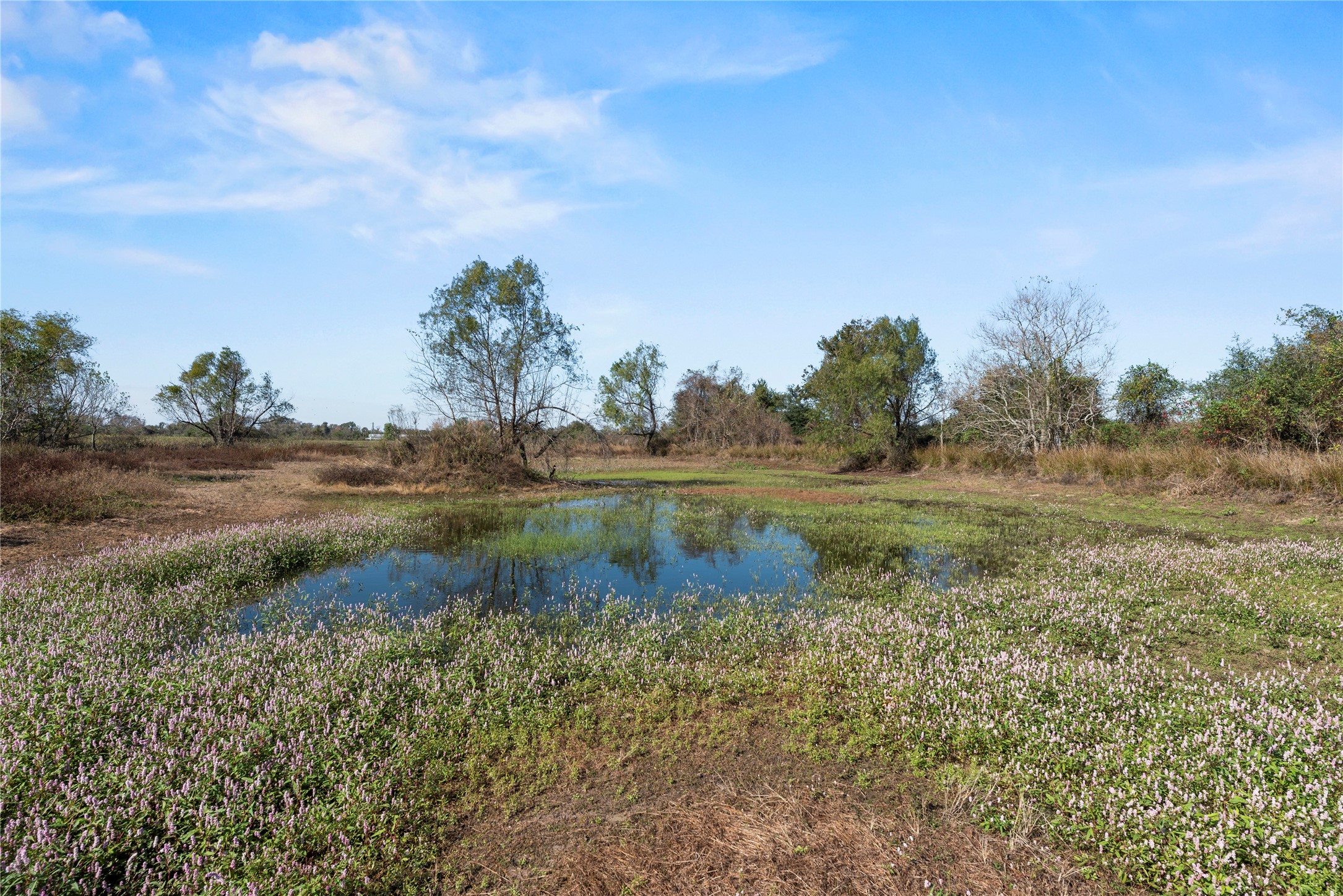 6490 Adams Flat Road Brookshire, TX 77423 - Photo 30 of 39 Gallery Image 30