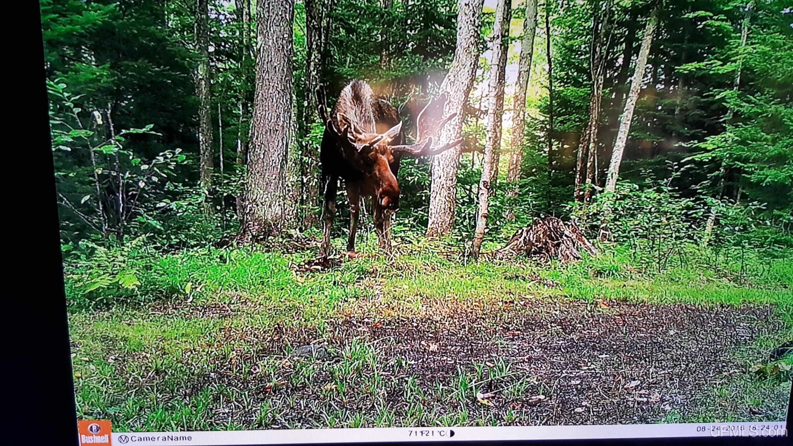 Tbd Tbd Stack Grade Little Lake Rock, MI 49880 - Photo 39 of 45
