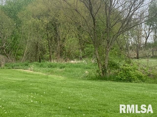 126 Willow Road Rochester, IL 62563 - Photo 3 of 3