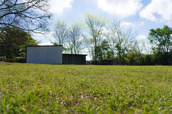 a view of a tree in a yard