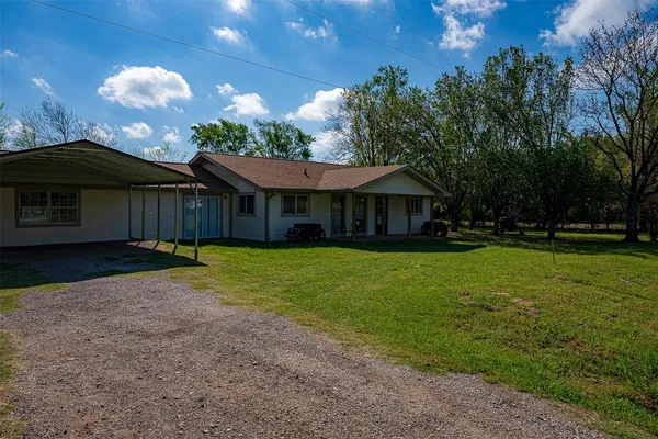 a close up of a plant