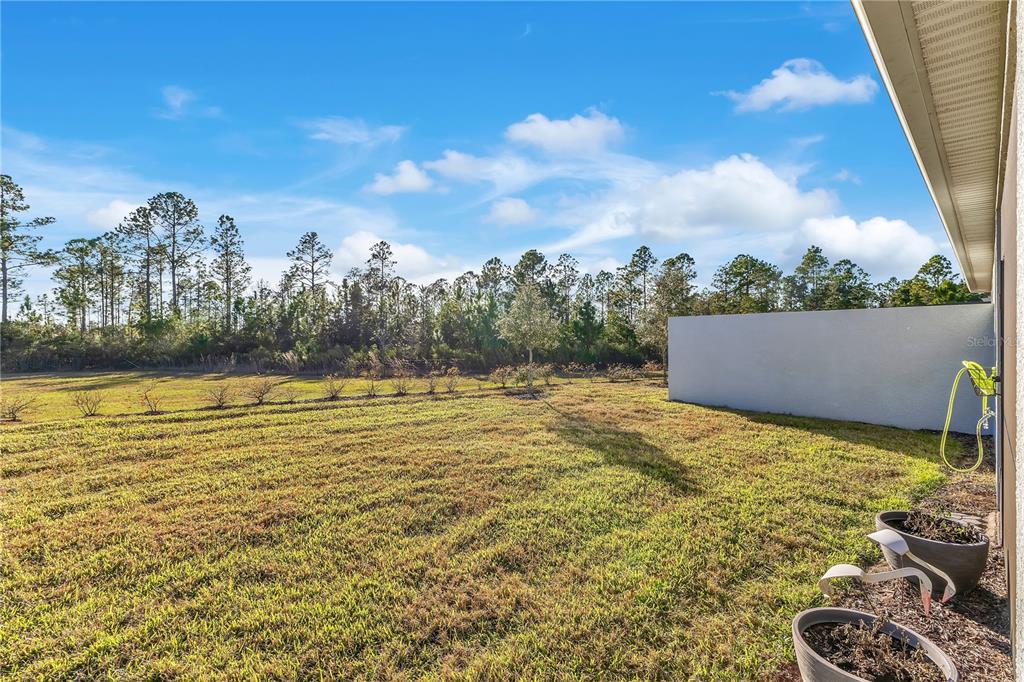 2434 Cliff Way St. Cloud, FL 34771 - Photo 28 of 46