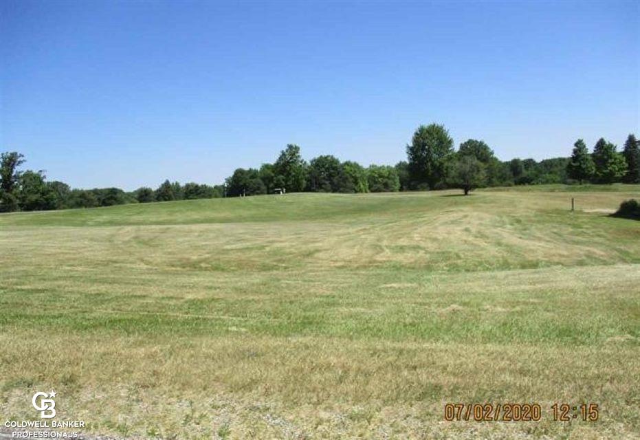 0 Belle River Road Memphis, MI 48041 - Photo 6 of 8