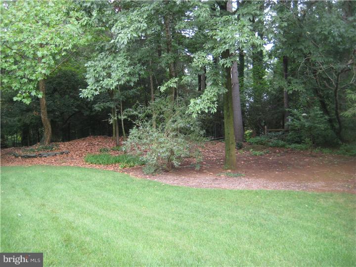 304 Sunshine Road Reading, PA 19601 - Photo 22 of 25 Side Yard