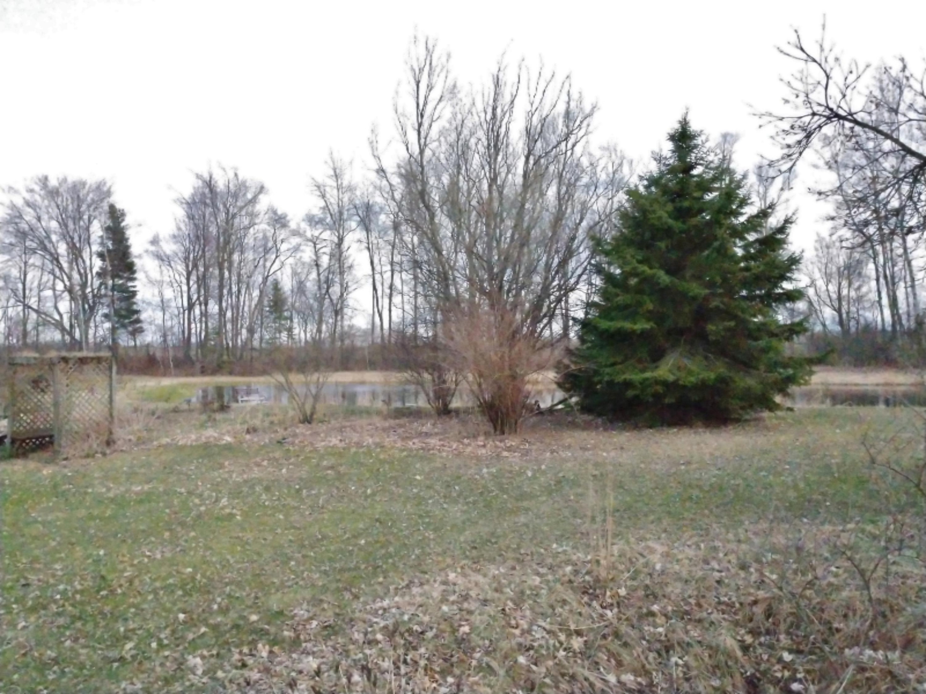 18819 Fillmore Road Stanwood, MI 49346 - Photo 18 of 20 IMG_20180427_182335116