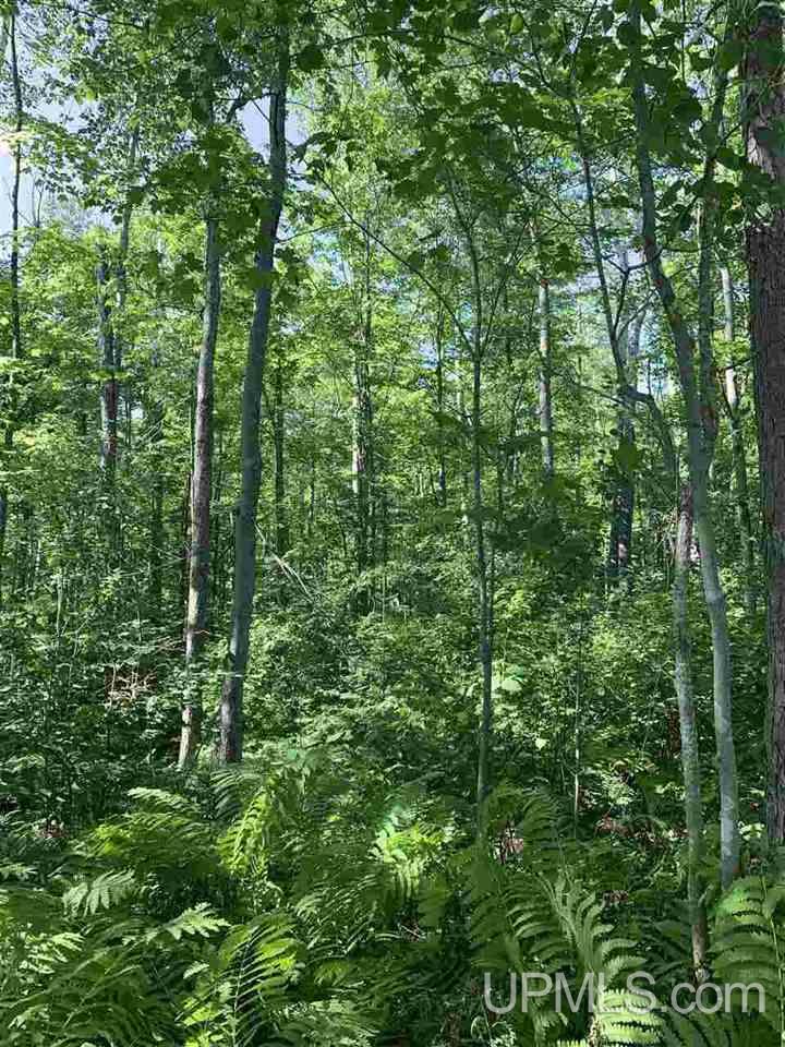 6 Indian Cemetery Road Lanse, MI 49946 - Photo 11 of 16