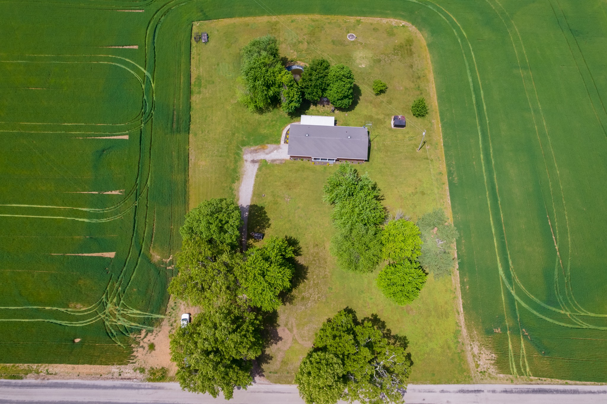 153 Westside Road Lawrenceburg, TN 38464 - Photo 5 of 37 a garden view