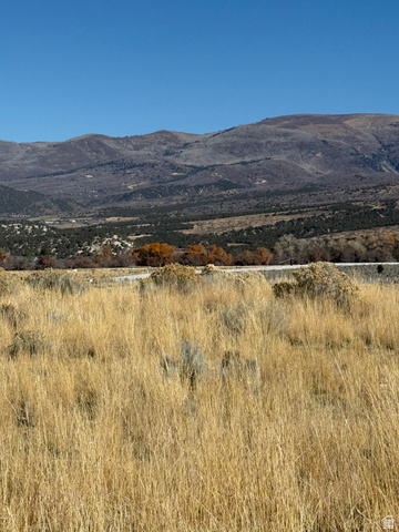1 Pine Creed Road, Unit 1 Mount Pleasant, UT 84647 - Photo 3 of 9