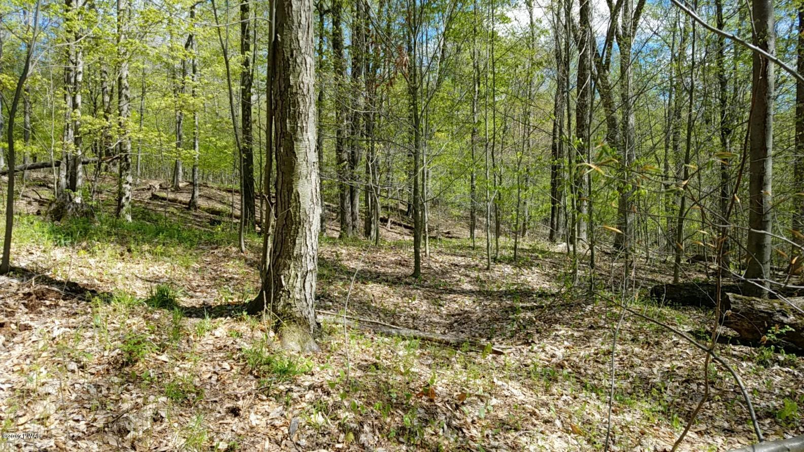 376 Wescott Road Tyler Hill, PA 18469 - Photo 7 of 8